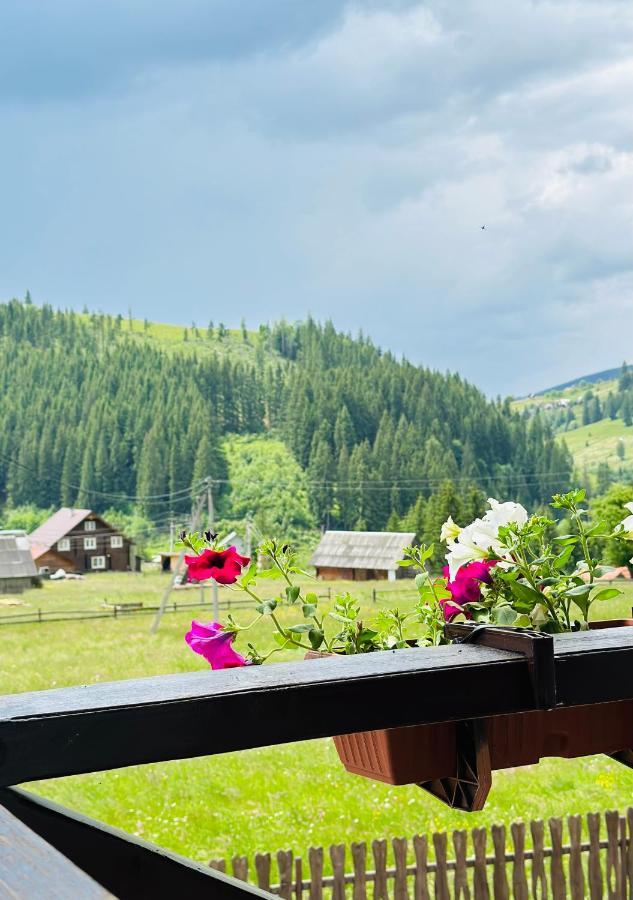 Guest House Lileya Bukovel Kültér fotó