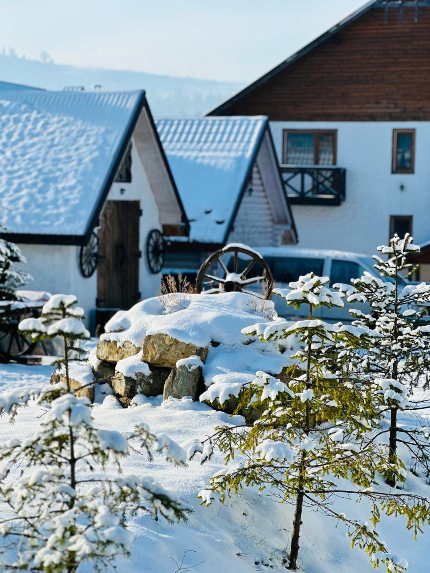 Guest House Lileya Bukovel Kültér fotó